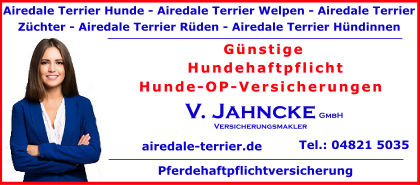 Airedale-Terrier-Hunde